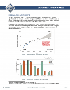 multiskilling among craft professionals 2